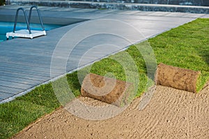Grass Turf Rolls for Instant Backyard Lawn
