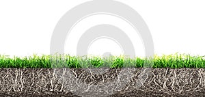 Grass and turf soil with roots isolated photo