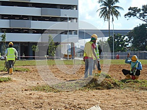 Grass turfing works at open area