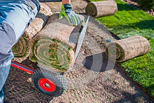 Grass Turfs Installer