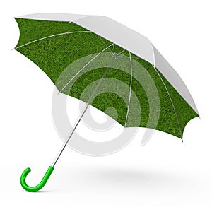 The grass umbrella