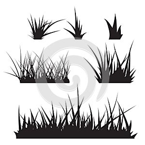 Grass Vector