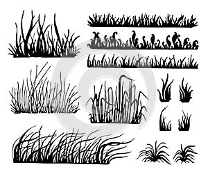 Grass Vector,