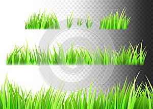 Grass vector isolated on white, black and transparent background. Tufts of grass photo