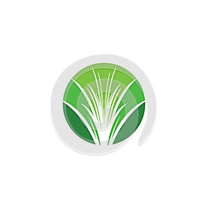 grass vector logo circle icon