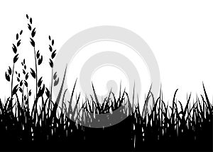 Grass vector silhouette