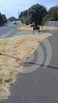 Grass verges in heatwave