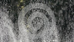 Grass water spray in woods,sunshine rain on lawn backdrop,droplets background.