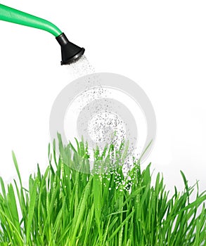 Grass and watering can
