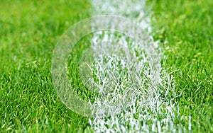 Grass with white line