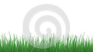 Grass on white, loopable