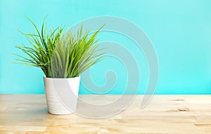 Grass in white pot on wood table