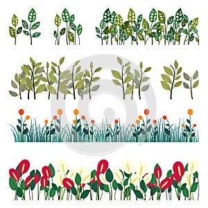 grass and wild flowers isolated background. anthurium tropical plant with green leaves, red and white flowers. vector flat