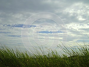 Grass wind and sky photo
