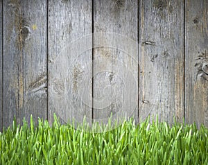 Grass Wood Fence Background