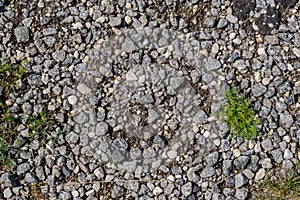 Grass on zen stone floor bacground
