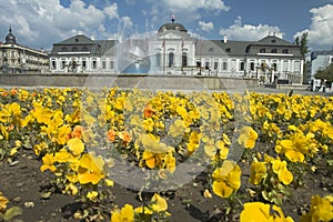 Grassalkovichův palác