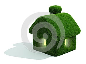 Grassed house