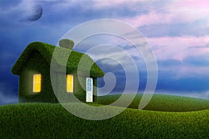 Grassed house 3d render.