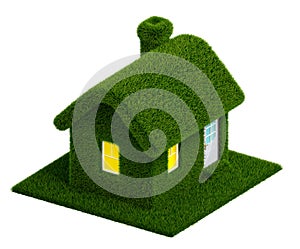 Grassed house 3d render.