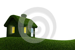 Grassed house 3d render.
