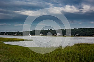 Grasses Along Inlet Marsh