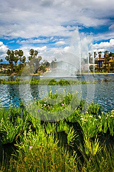 Grasses and a fountain in Echo Park Lake