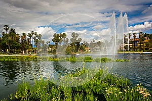 Grasses and a fountain in Echo Park Lake