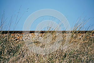 Grasses in front of railway track from the side