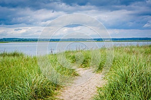 Grasses and sandy path at Hampton Beach, New Hampshire.