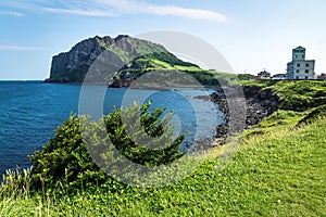 Grassfields and bush with view over ocean and Ilchulbong in the background, Seongsan, Jeju Island, South Korea