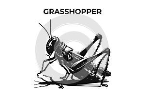 A Distinctive Grasshopper Silhouette for Multi-Format Design Projects. Vector Illustration