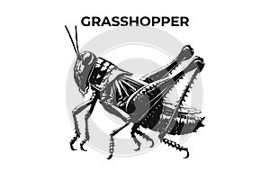 A Distinctive Grasshopper Silhouette for Multi-Format Design Projects. Vector Illustration