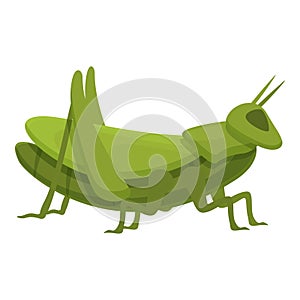 Grasshopper bug icon cartoon vector. Nature mascot