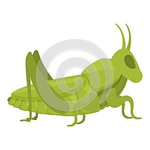 Grasshopper character icon cartoon vector. Art ant