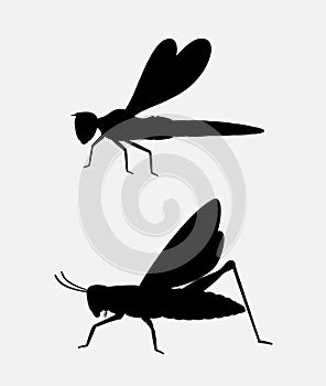 Grasshopper and Dragonfly Silhouettes
