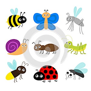 Grasshopper, fly, firefly, ant, mosquito, bee bumblebee, butterfly, snail cochlea, lady bug ladybird flying insect icon set.