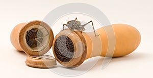 Grasshopper and gourd