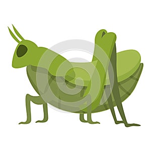 Grasshopper insect icon cartoon vector. Wildlife locust