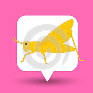 Grasshopper Insect Vector