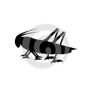Grasshopper Logo Template vector icon illustration design