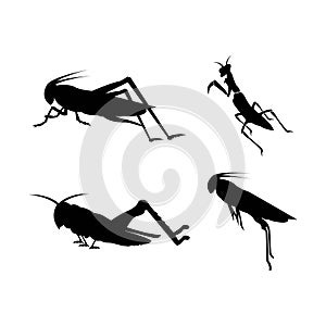 Grasshopper Logo Template vector icon illustration design