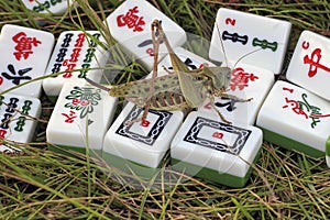 Grasshopper and mahjong tiles