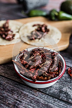 Grasshoppers or chapulines snack. Traditional mexican food from Oaxaca Mexico