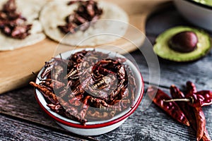 Grasshoppers or chapulines snack. Traditional mexican food from Oaxaca Mexico