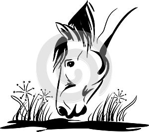 Grassing horse vector illustration