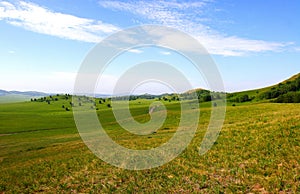 Grassland