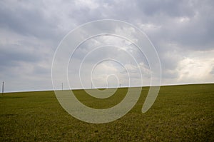 Grassland