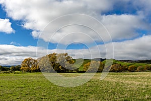 The grassland in Autumn