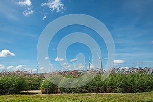 Grassland background with Wind turbines generating electricity
